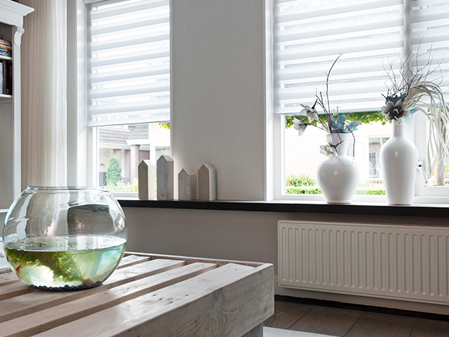 Cashback foto duo rolgordijn