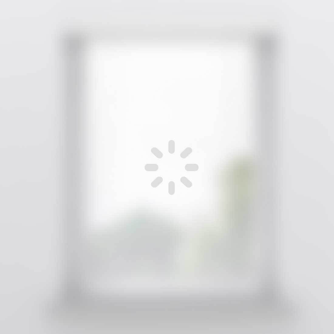 Dakraam rolgordijn smart verduisterend kamer wit